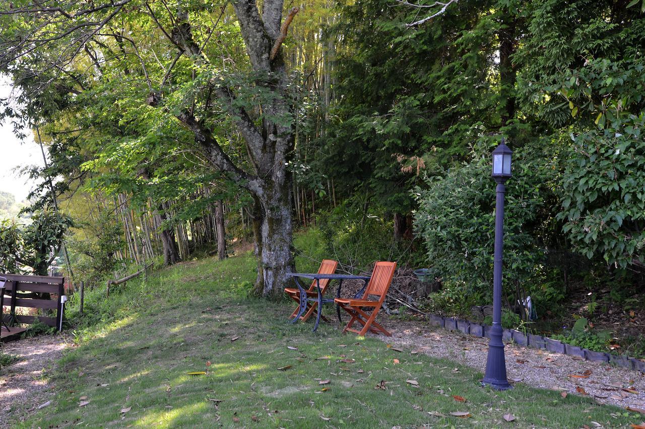 Kotorian Villa Asuka Værelse billede